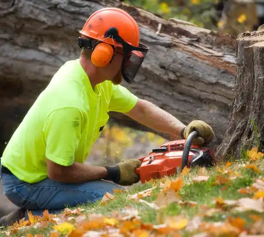 tree services Vanderbilt